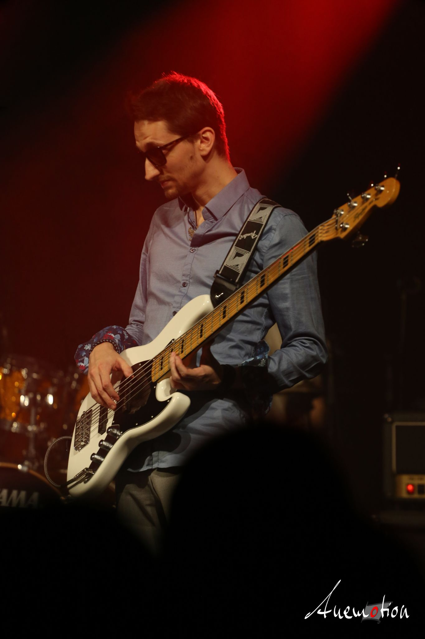 ElephantsFalling (22)